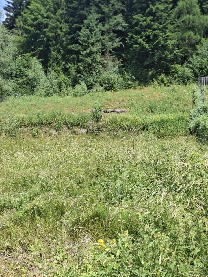 Działka budowlana Porąbka Wielka Puszcza, ul. Wielka Puszcza. Zdjęcie 3