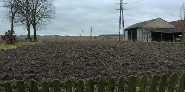 Działka rolno-budowlana Wojsławice. Zdjęcie 1