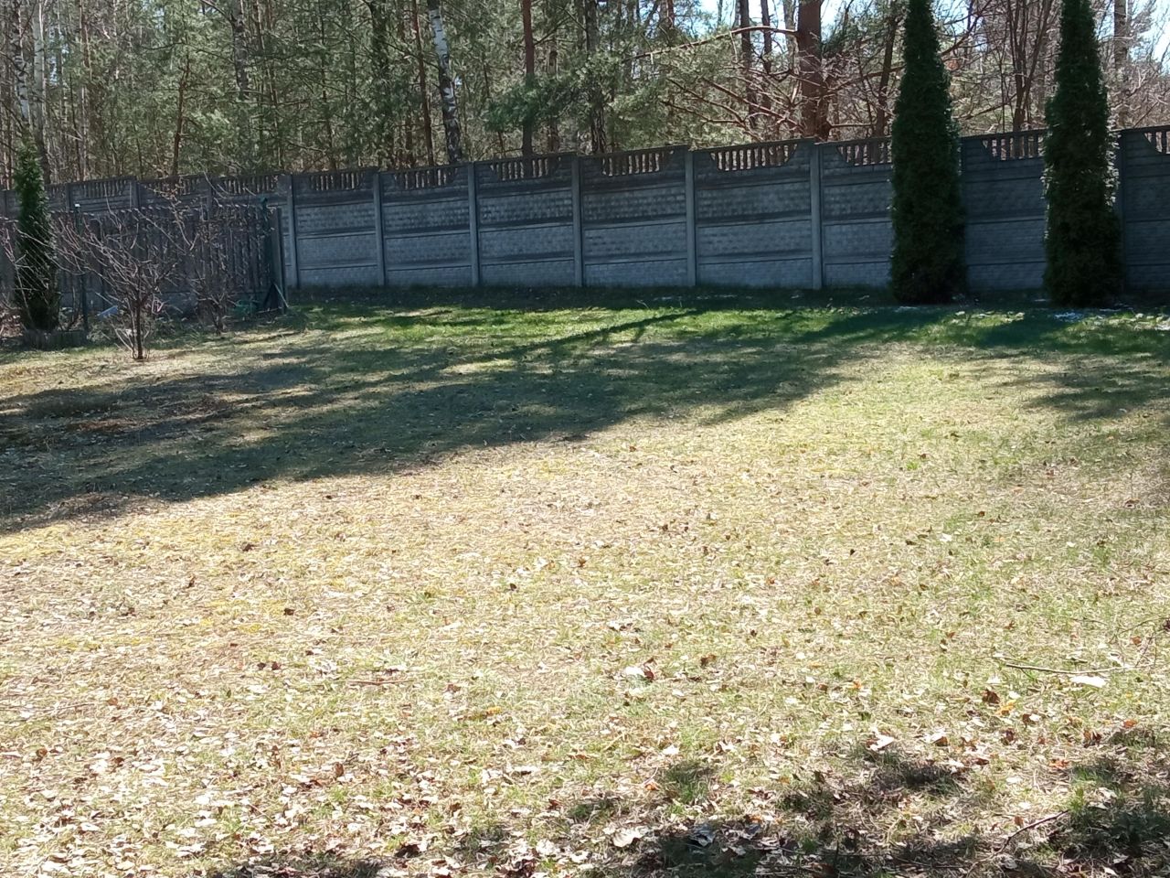 Działka budowlana Radlin Ogrodzenie. Zdjęcie 1