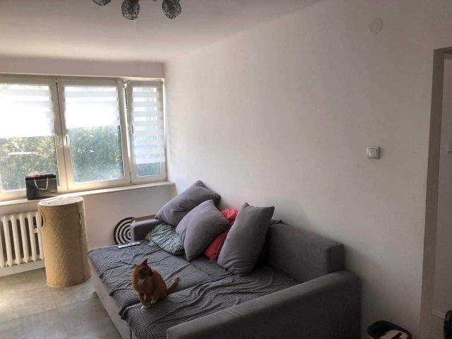 Mieszkanie 1-pokojowe Ciechanów, ul. 11 Pułku Ułanów Legionowych. Zdjęcie 1