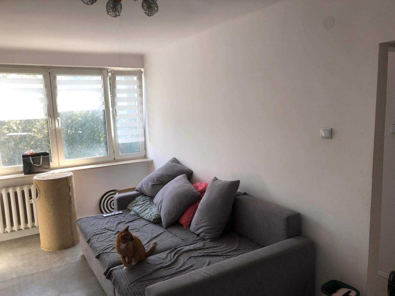 Mieszkanie 1-pokojowe Ciechanów, ul. 11 Pułku Ułanów Legionowych