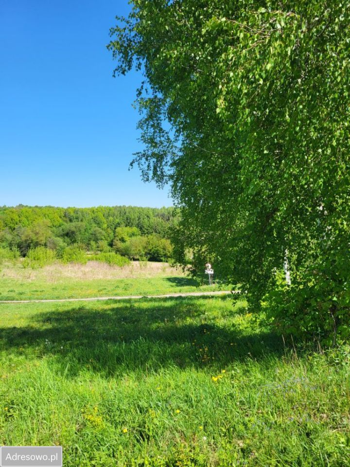 Działka rolna Dys, ul. Bernatówka. Zdjęcie 2
