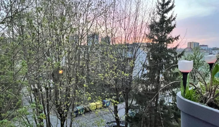 Mieszkanie 2-pokojowe Białystok Piaski, ul. Michała Wołodyjowskiego