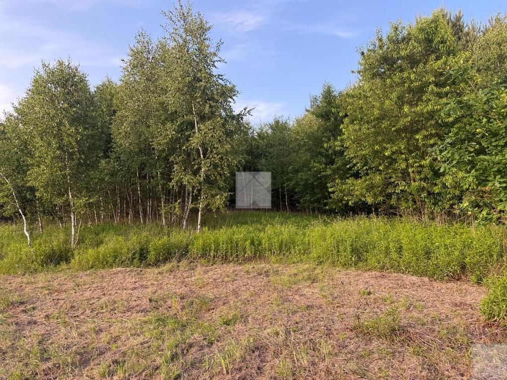 Działka rekreacyjna Radawa, ul. Cienkie. Zdjęcie 15