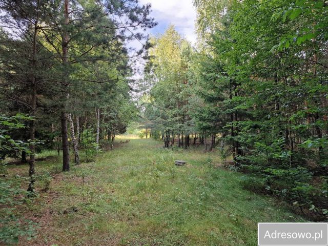 Działka rekreacyjna Orchówek, ul. Wesoła. Zdjęcie 1