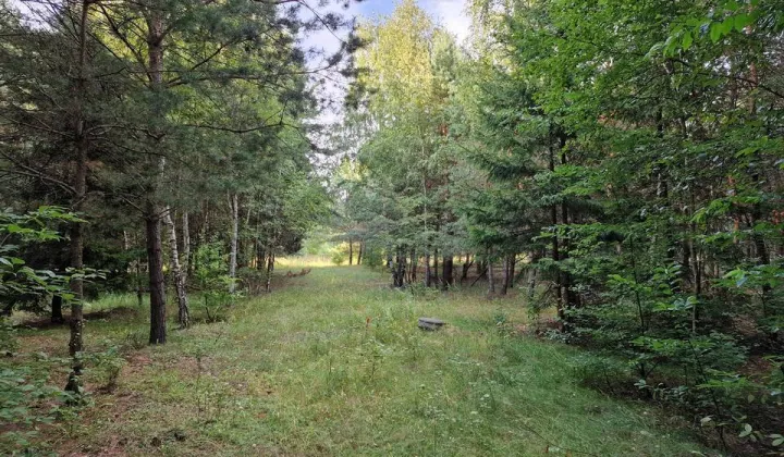 Działka rekreacyjna Orchówek, ul. Wesoła