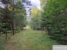 Działka rekreacyjna Orchówek, ul. Wesoła