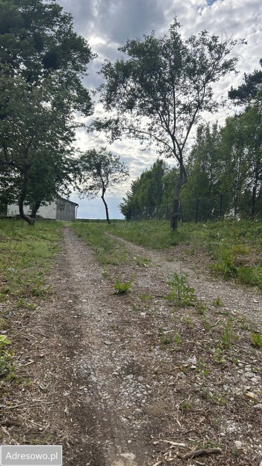 Działka Gardzienice Drugie. Zdjęcie 8
