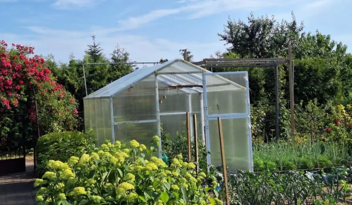 Działka rod Szamotuły, ul. Feliksa Nowowiejskiego