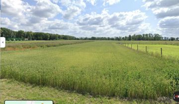 Działka rolno-budowlana Wierzbice, ul. Tarnopolska