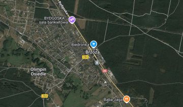 dom wolnostojący Brzoza