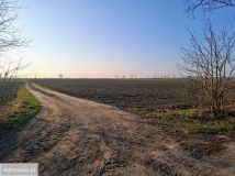 Działka budowlana Boguszyce. Zdjęcie 3