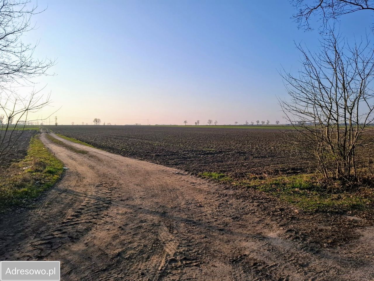 Działka budowlana Boguszyce. Zdjęcie 4