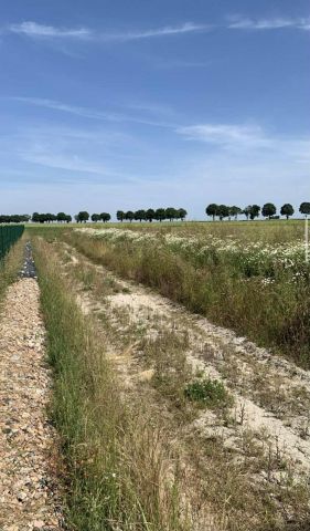 Działka budowlana Gościsław. Zdjęcie 1