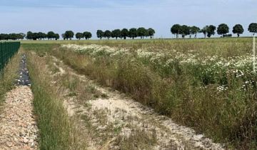 Działka budowlana Gościsław