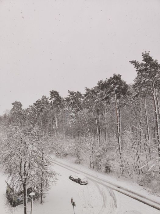 Mieszkanie 4-pokojowe Gdynia Pustki Cisowskie, ul. Borowikowa. Zdjęcie 8
