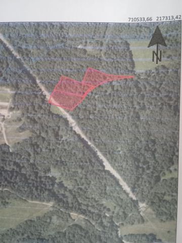 Działka leśna Domaradz. Zdjęcie 1