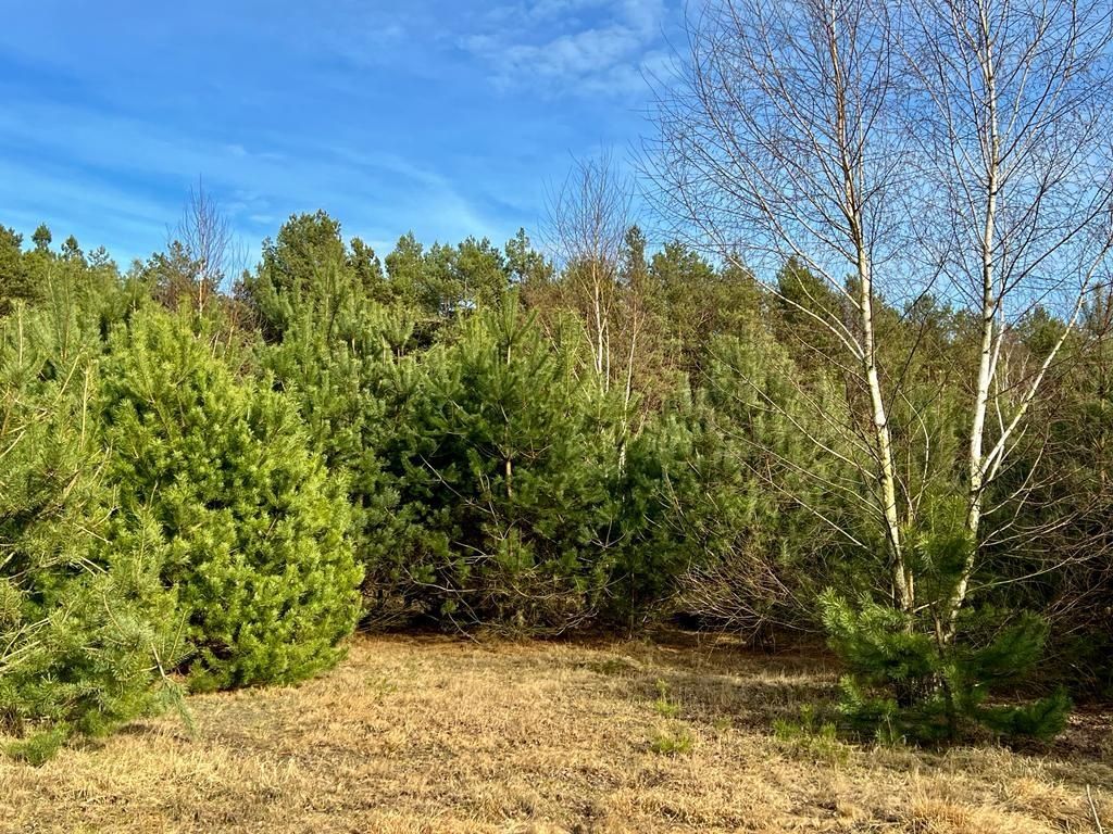 Działka rolna Będzeń. Zdjęcie 2