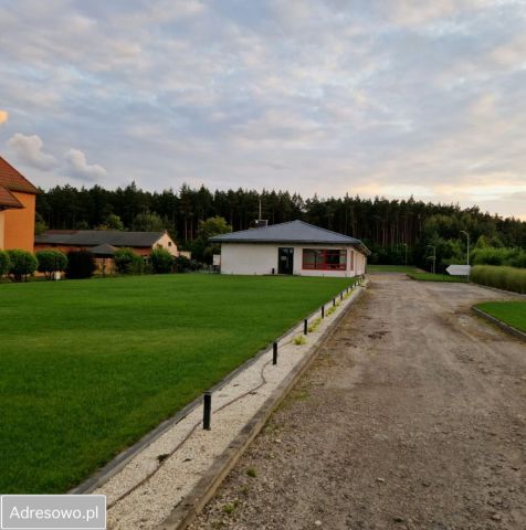 Lokal Bełchatów, ul. Czapliniecka. Zdjęcie 3