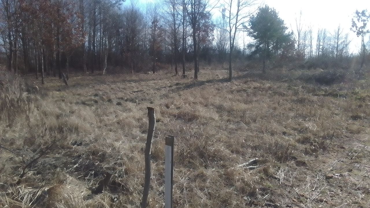 Działka budowlana Miedziana Góra Herby, ul. Górnicza. Zdjęcie 9