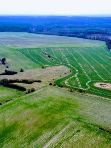 dom wolnostojący, 4 pokoje Żelichów. Zdjęcie 8
