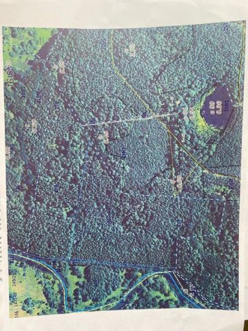 Działka leśna Byszyno. Zdjęcie 1