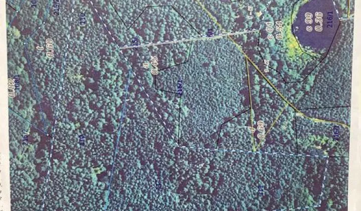 Działka leśna Byszyno