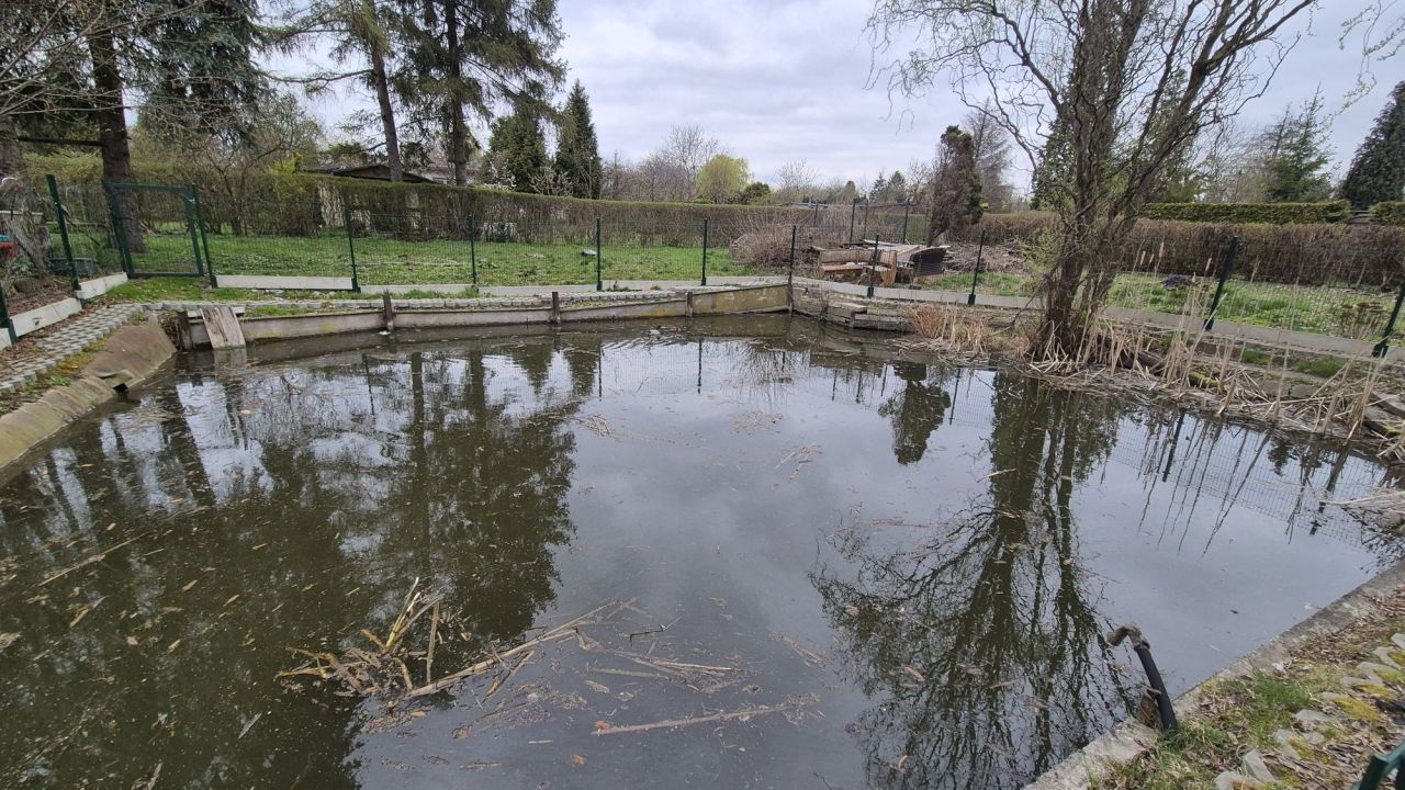 Działka rod Zabrze Biskupice. Zdjęcie 3