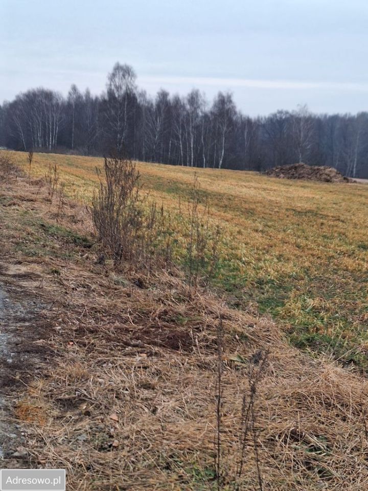 Działka budowlana Syrynia, ul. Gołężyców. Zdjęcie 2