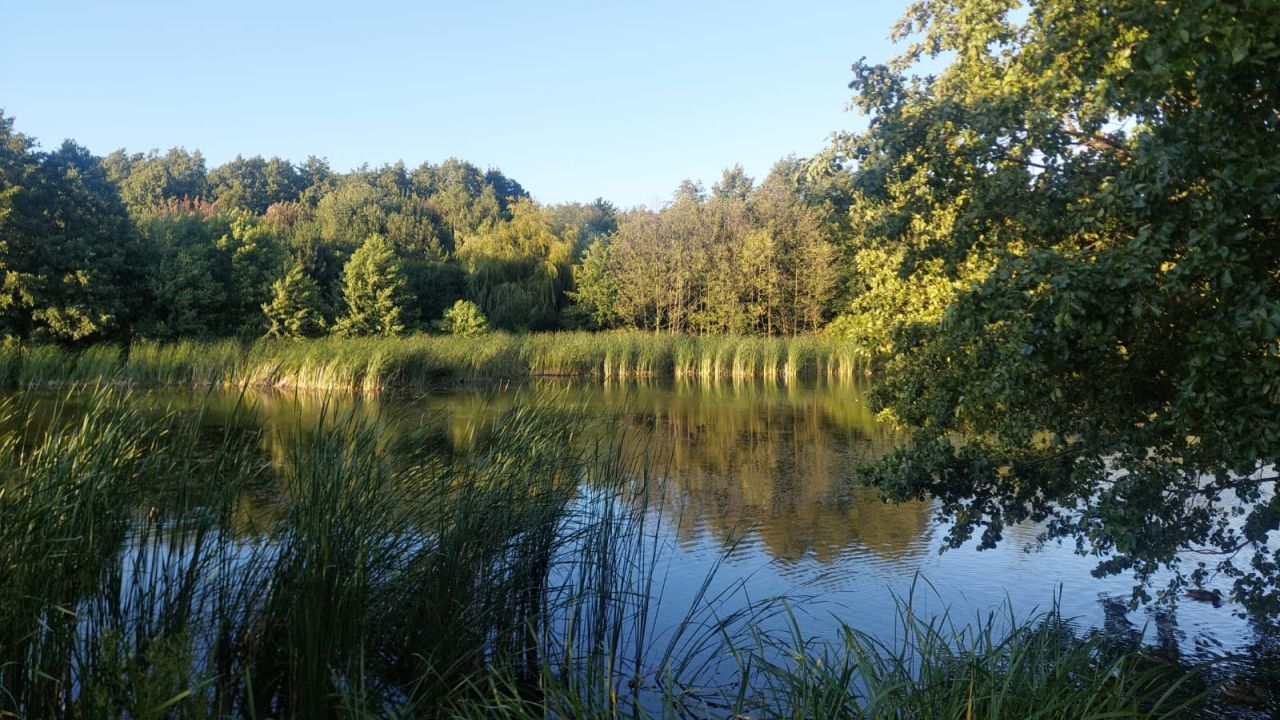 Mieszkanie 1-pokojowe Gdańsk Przymorze, ul. Prezydenta Lecha Kaczyńskiego. Zdjęcie 13