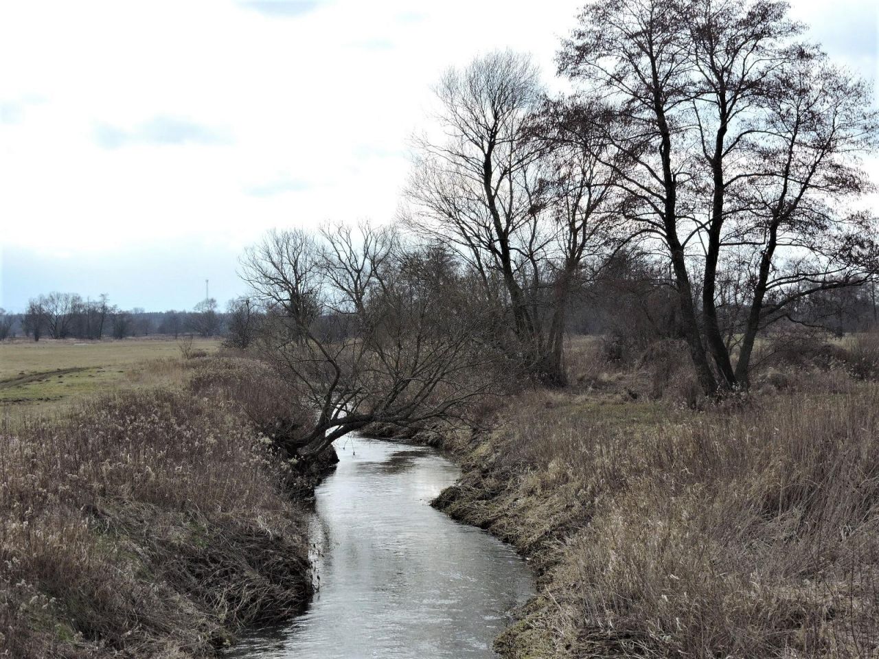Działka rolna Kąck, ul. Malownicza. Zdjęcie 7