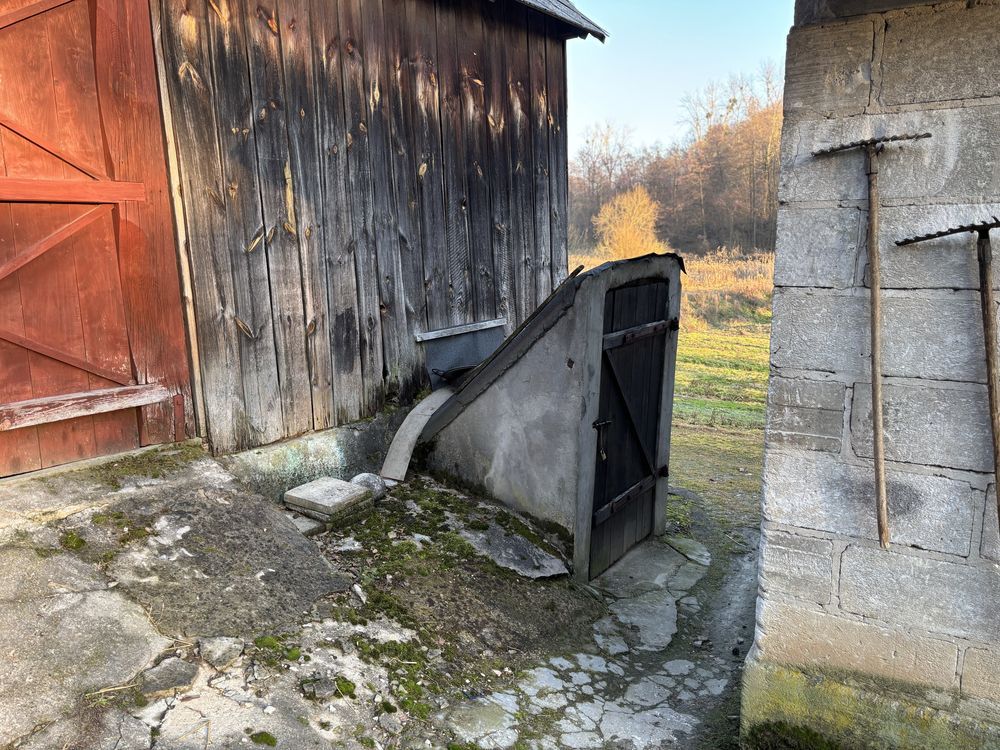 Działka siedliskowa Witoszyn. Zdjęcie 4