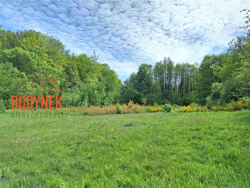 Działka rolna Paproty. Zdjęcie 10