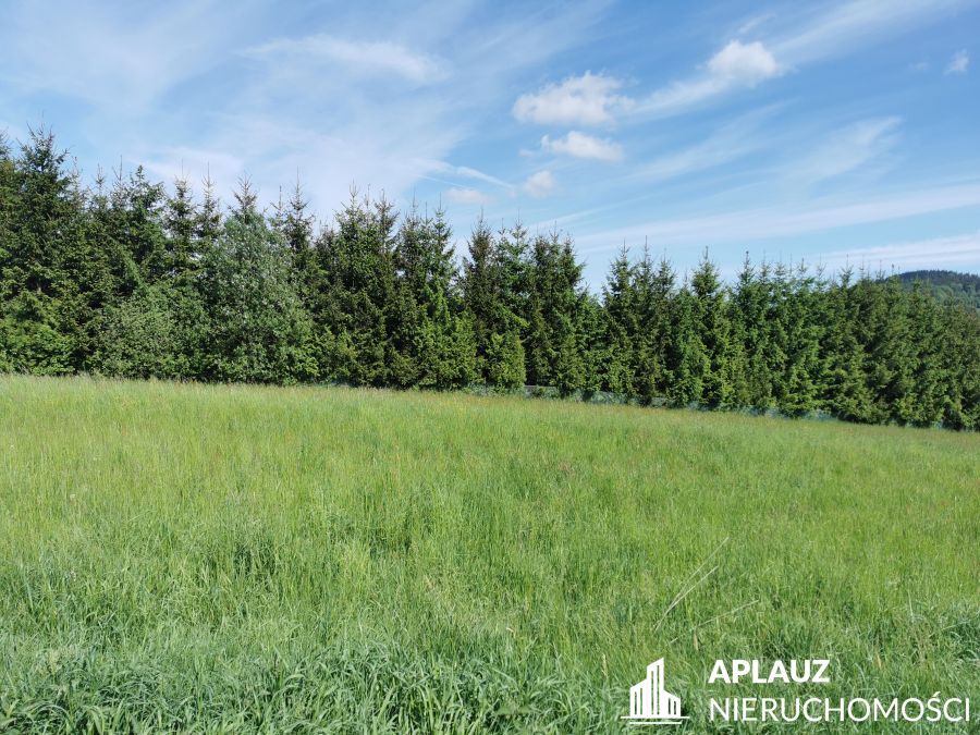 Działka budowlana Kaczorów. Zdjęcie 4