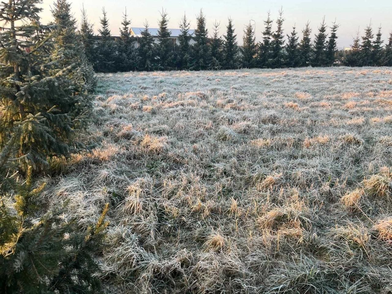 Działka budowlana Olszewo. Zdjęcie 7