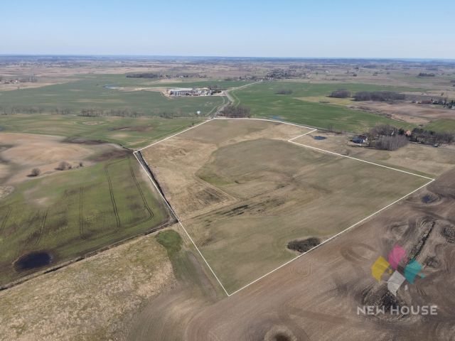 Działka rolna Woźnice. Zdjęcie 3