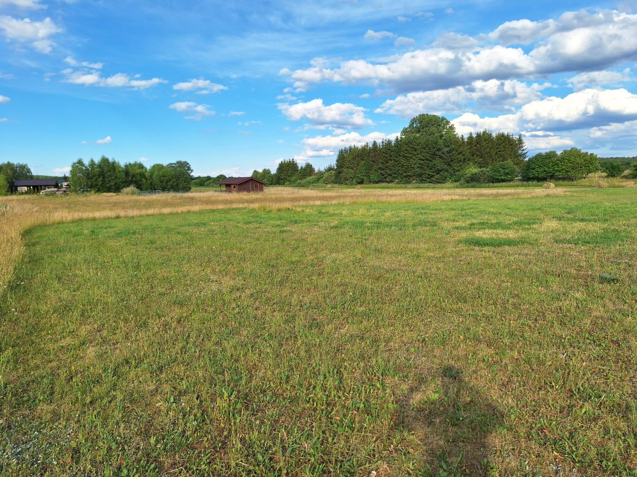 Działka rolna Zdory. Zdjęcie 3