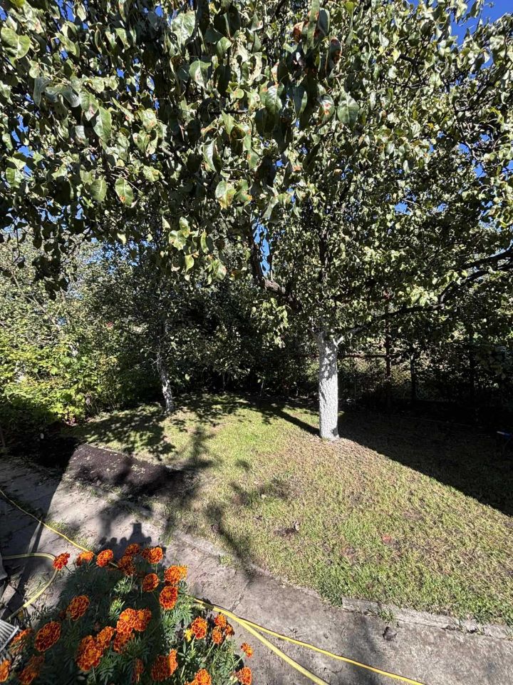 Działka rod Siemianowice Śląskie Bytków. Zdjęcie 3