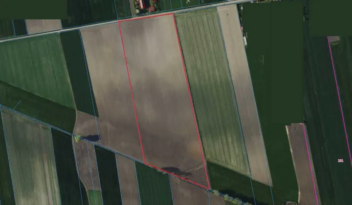 Działka rolna Górka Klonowska-Kolonia