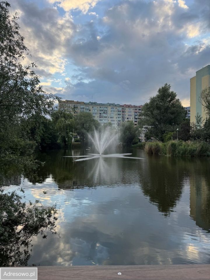 Mieszkanie 1-pokojowe Warszawa Bielany, al. Aleja Władysława Reymonta. Zdjęcie 10