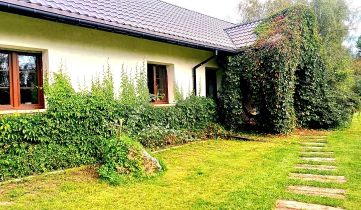 dom wolnostojący Ogrodzieniec