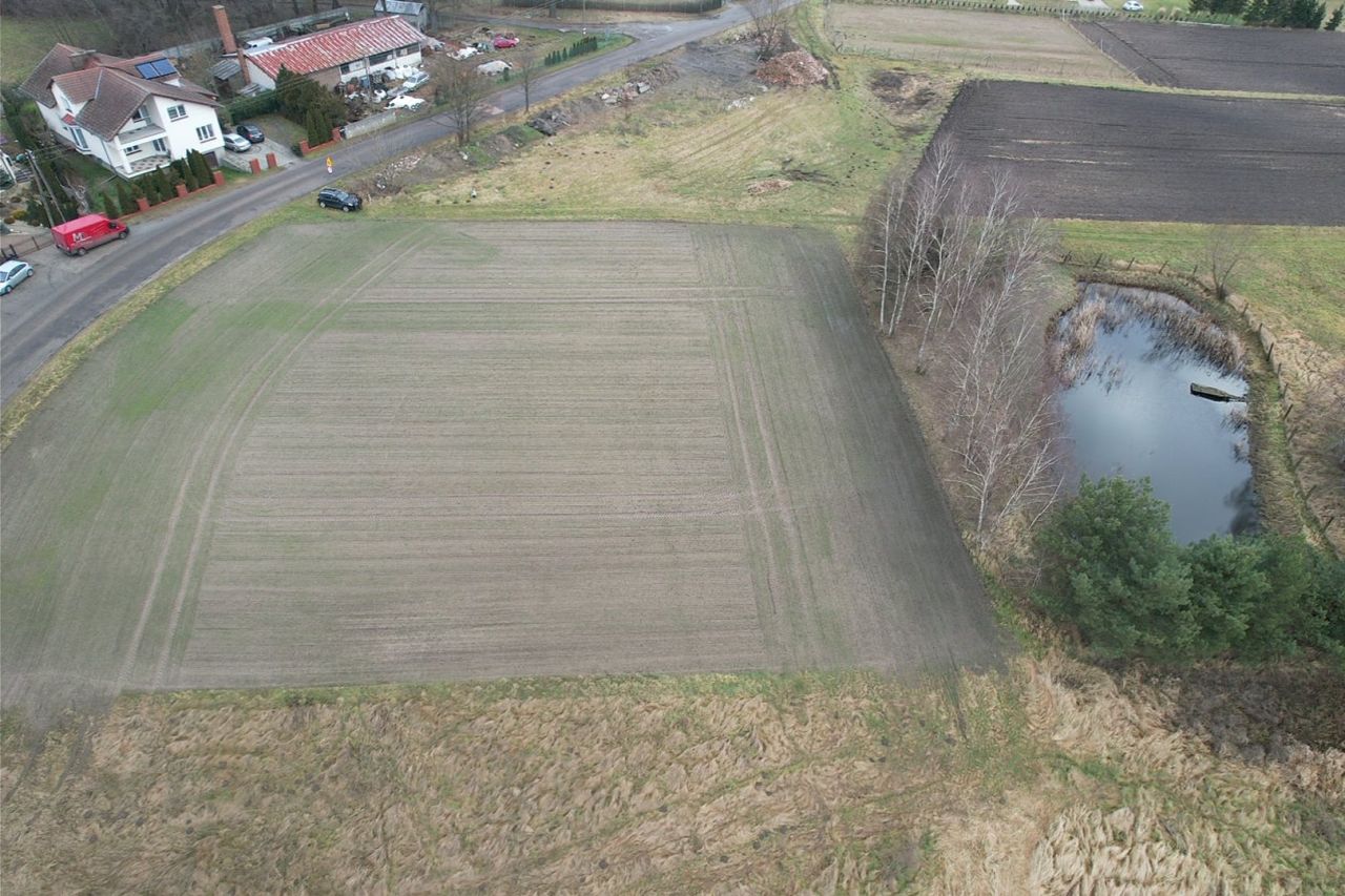 Działka budowlana Korzeńsko, ul. Chodlewska. Zdjęcie 12