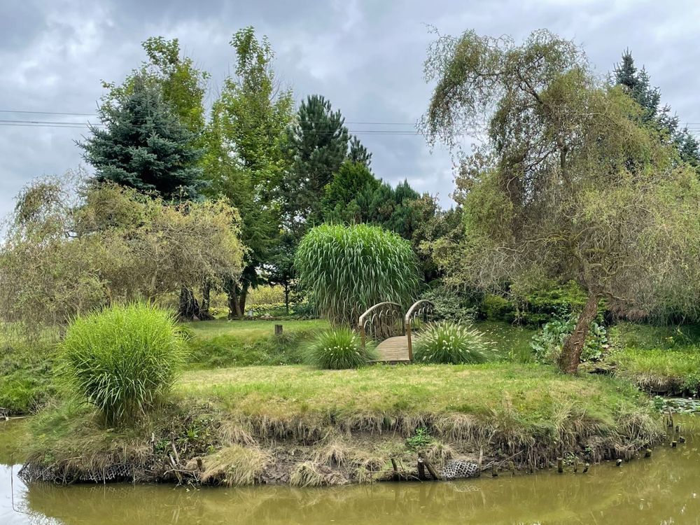 Działka inwestycyjna Skiby. Zdjęcie 7