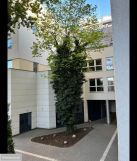 Mieszkanie 2-pokojowe Gdynia Śródmieście, ul. Antoniego Abrahama