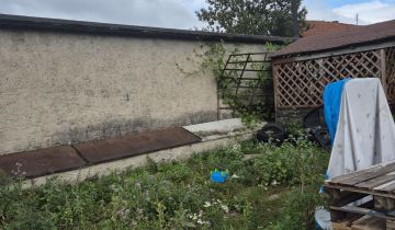 gospodarstwo Orzechowo