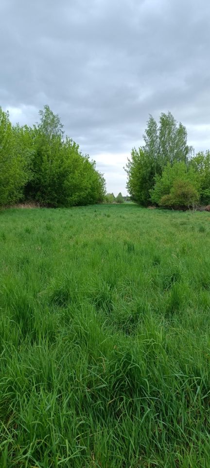 dom wolnostojący, 4 pokoje Radom Kierzków, Marglowa. Zdjęcie 3