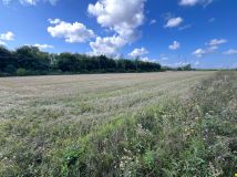 Działka inwestycyjna Ostrów Mazowiecka, ul. Lubiejewska. Zdjęcie 3