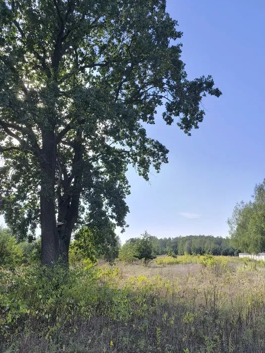 Działka budowlana Krzyżówka, ul. Wiejska. Zdjęcie 1