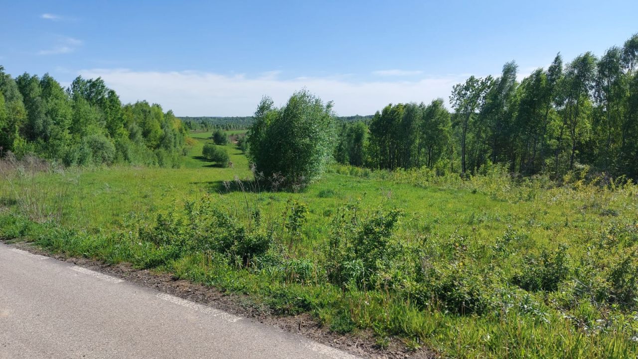 Działka siedliskowa Brzeziny. Zdjęcie 7