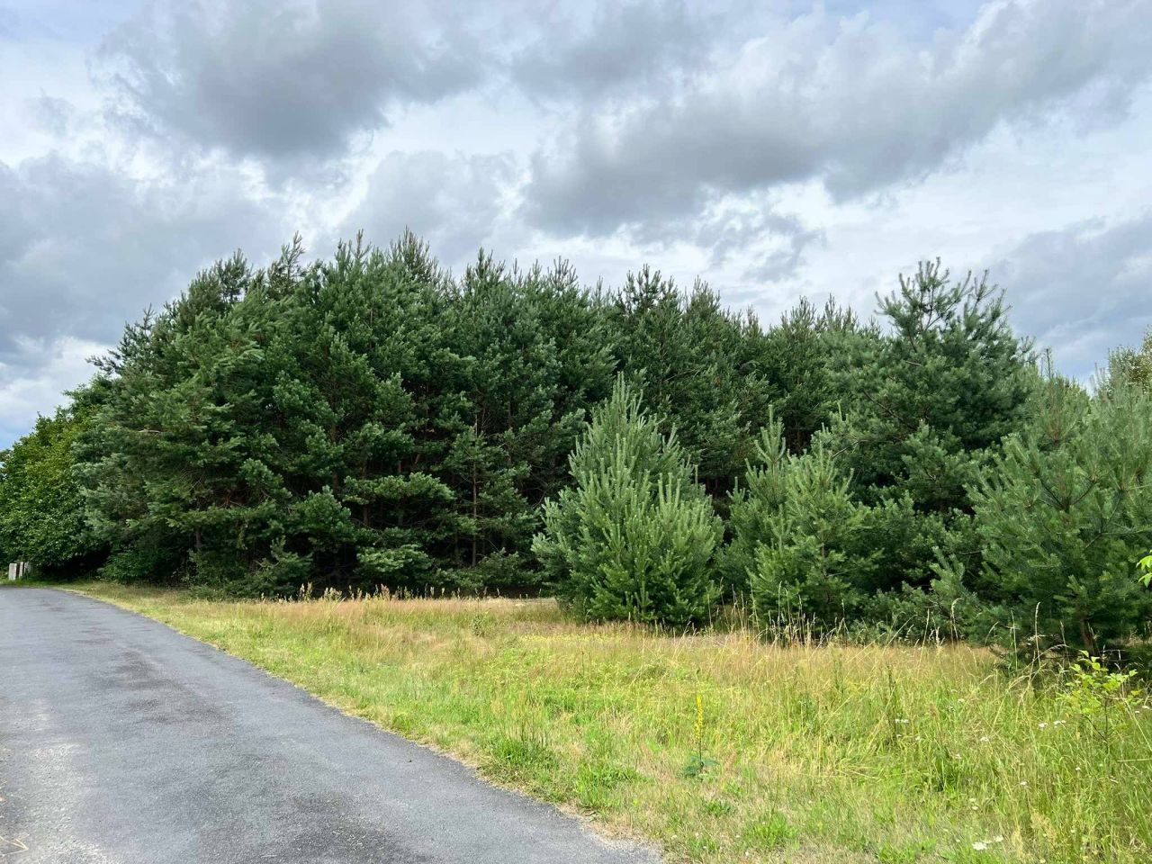 Działka leśna Bukowa. Zdjęcie 5